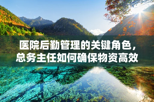 医院后勤管理的关键角色，总务主任如何确保物资高效供应？
