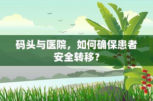 码头与医院，如何确保患者安全转移？