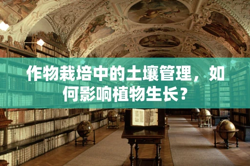 作物栽培中的土壤管理，如何影响植物生长？