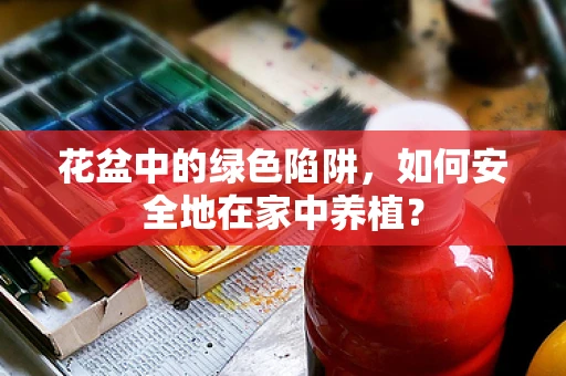 花盆中的绿色陷阱，如何安全地在家中养植？