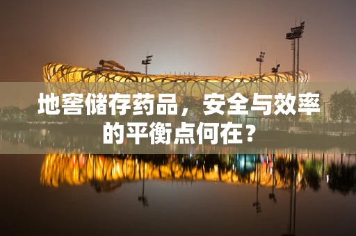 地窖储存药品，安全与效率的平衡点何在？