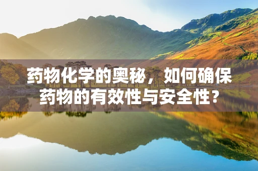 药物化学的奥秘，如何确保药物的有效性与安全性？