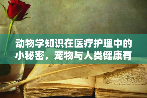动物学知识在医疗护理中的小秘密，宠物与人类健康有何相似之处？