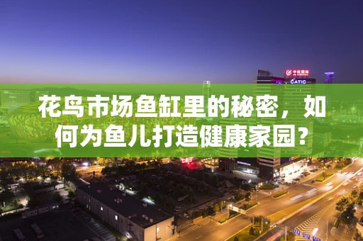 花鸟市场鱼缸里的秘密，如何为鱼儿打造健康家园？