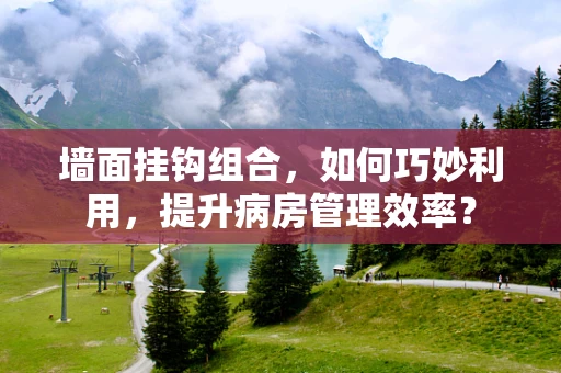 墙面挂钩组合，如何巧妙利用，提升病房管理效率？