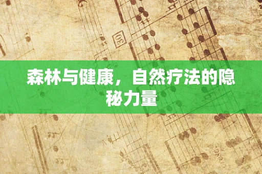 森林与健康，自然疗法的隐秘力量