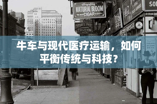 牛车与现代医疗运输，如何平衡传统与科技？