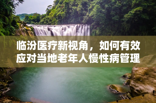 临汾医疗新视角，如何有效应对当地老年人慢性病管理？
