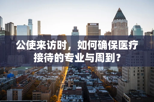 公使来访时，如何确保医疗接待的专业与周到？