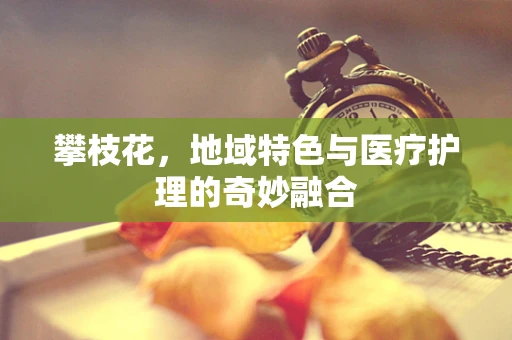 攀枝花，地域特色与医疗护理的奇妙融合