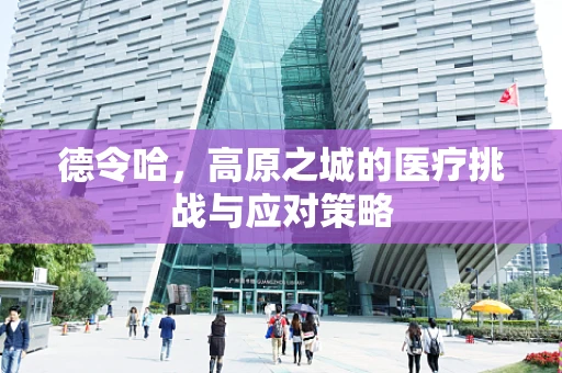 德令哈，高原之城的医疗挑战与应对策略