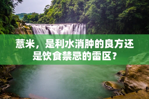 薏米，是利水消肿的良方还是饮食禁忌的雷区？