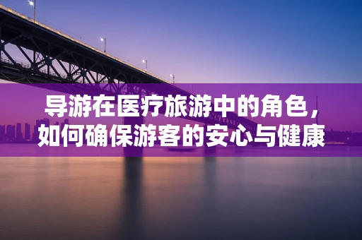 导游在医疗旅游中的角色，如何确保游客的安心与健康？