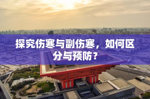 探究伤寒与副伤寒，如何区分与预防？
