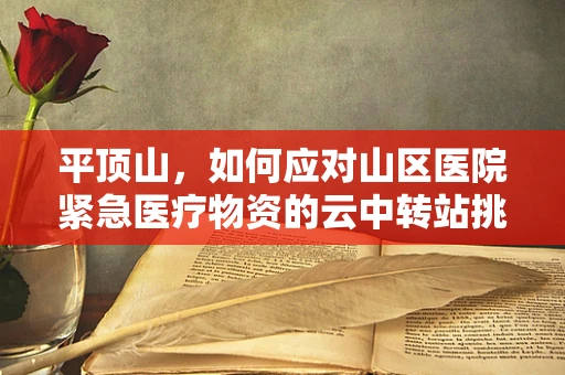 平顶山，如何应对山区医院紧急医疗物资的云中转站挑战？