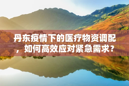 丹东疫情下的医疗物资调配，如何高效应对紧急需求？