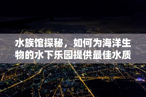 水族馆探秘，如何为海洋生物的水下乐园提供最佳水质管理？