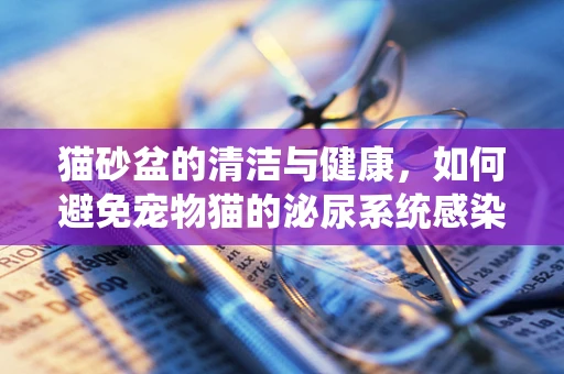 猫砂盆的清洁与健康，如何避免宠物猫的泌尿系统感染？