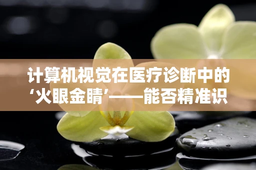 计算机视觉在医疗诊断中的‘火眼金睛’——能否精准识别病变？