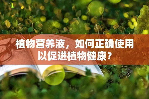 植物营养液，如何正确使用以促进植物健康？