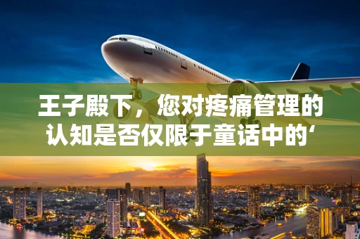 王子殿下，您对疼痛管理的认知是否仅限于童话中的‘神奇药水’？