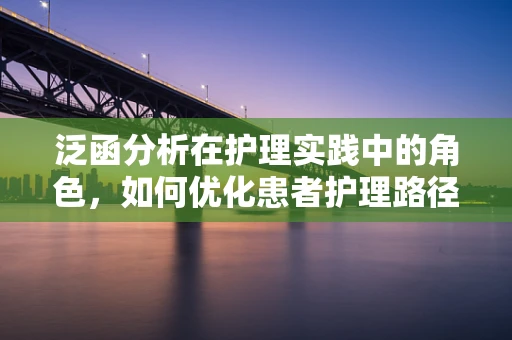 泛函分析在护理实践中的角色，如何优化患者护理路径？