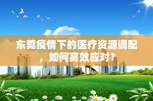 东莞疫情下的医疗资源调配，如何高效应对？