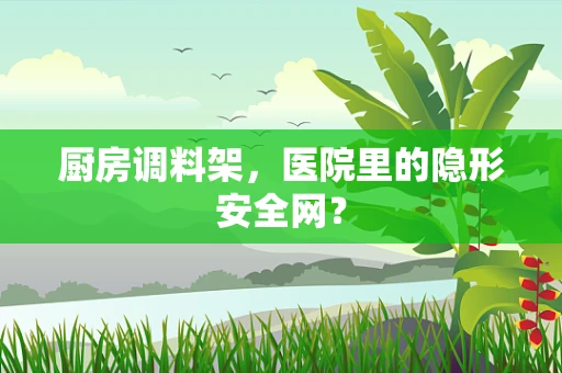 厨房调料架，医院里的隐形安全网？