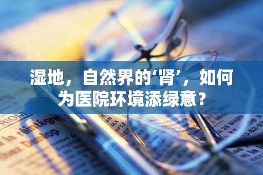 湿地，自然界的‘肾’，如何为医院环境添绿意？