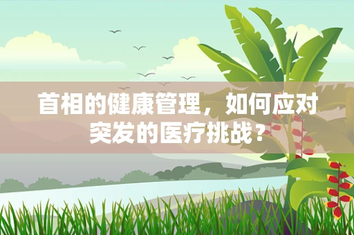 首相的健康管理，如何应对突发的医疗挑战？