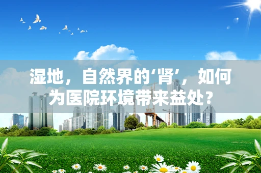 湿地，自然界的‘肾’，如何为医院环境带来益处？