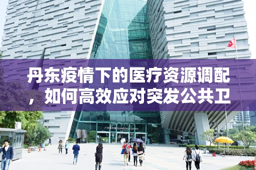 丹东疫情下的医疗资源调配，如何高效应对突发公共卫生事件？