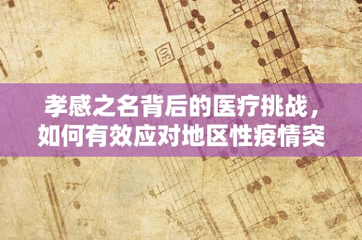 孝感之名背后的医疗挑战，如何有效应对地区性疫情突发？