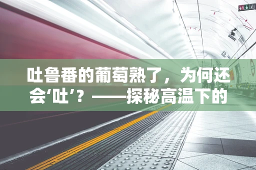 吐鲁番的葡萄熟了，为何还会‘吐’？——探秘高温下的特殊护理挑战