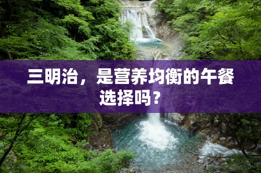 三明治，是营养均衡的午餐选择吗？