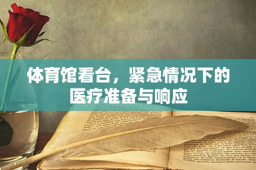 体育馆看台，紧急情况下的医疗准备与响应