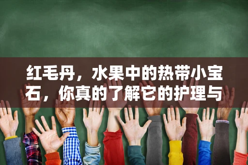红毛丹，水果中的热带小宝石，你真的了解它的护理与食用禁忌吗？