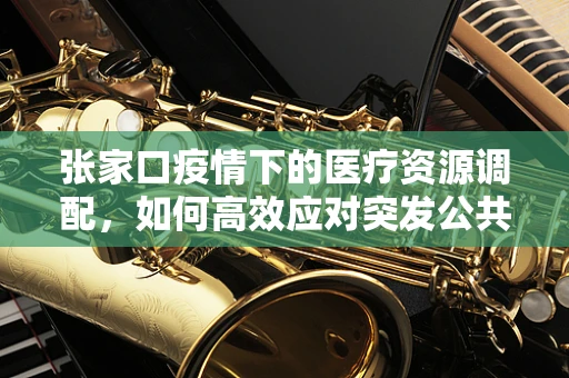 张家口疫情下的医疗资源调配，如何高效应对突发公共卫生事件？