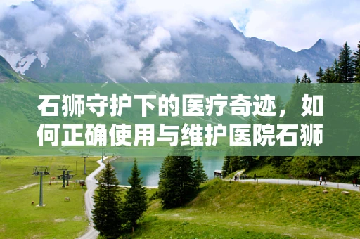 石狮守护下的医疗奇迹，如何正确使用与维护医院石狮雕塑？