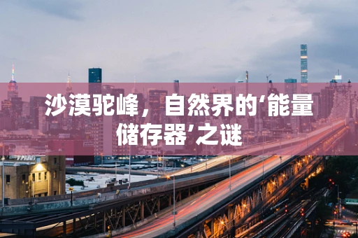 沙漠驼峰，自然界的‘能量储存器’之谜