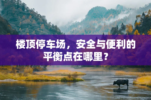 楼顶停车场，安全与便利的平衡点在哪里？