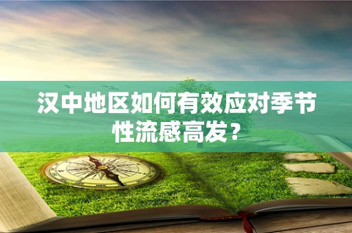 汉中地区如何有效应对季节性流感高发？
