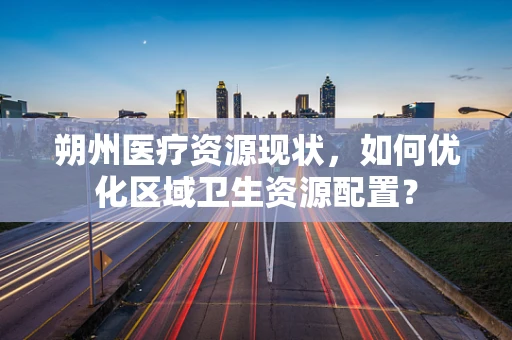 朔州医疗资源现状，如何优化区域卫生资源配置？