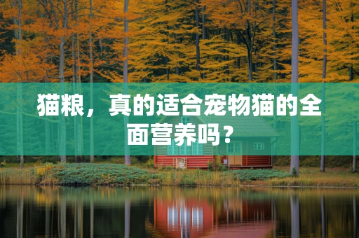 猫粮，真的适合宠物猫的全面营养吗？