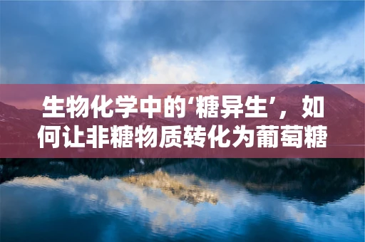 生物化学中的‘糖异生’，如何让非糖物质转化为葡萄糖？
