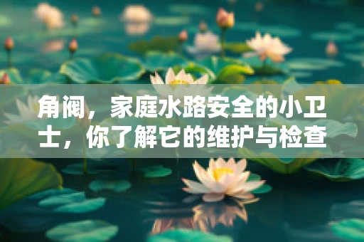 角阀，家庭水路安全的小卫士，你了解它的维护与检查吗？