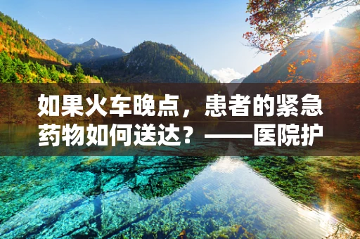 如果火车晚点，患者的紧急药物如何送达？——医院护士的紧急应对策略