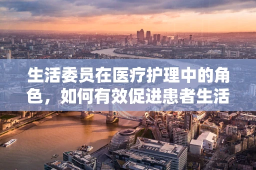 生活委员在医疗护理中的角色，如何有效促进患者生活质量的提升？