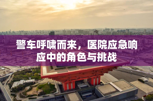 警车呼啸而来，医院应急响应中的角色与挑战