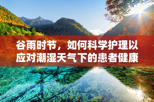 谷雨时节，如何科学护理以应对潮湿天气下的患者健康？